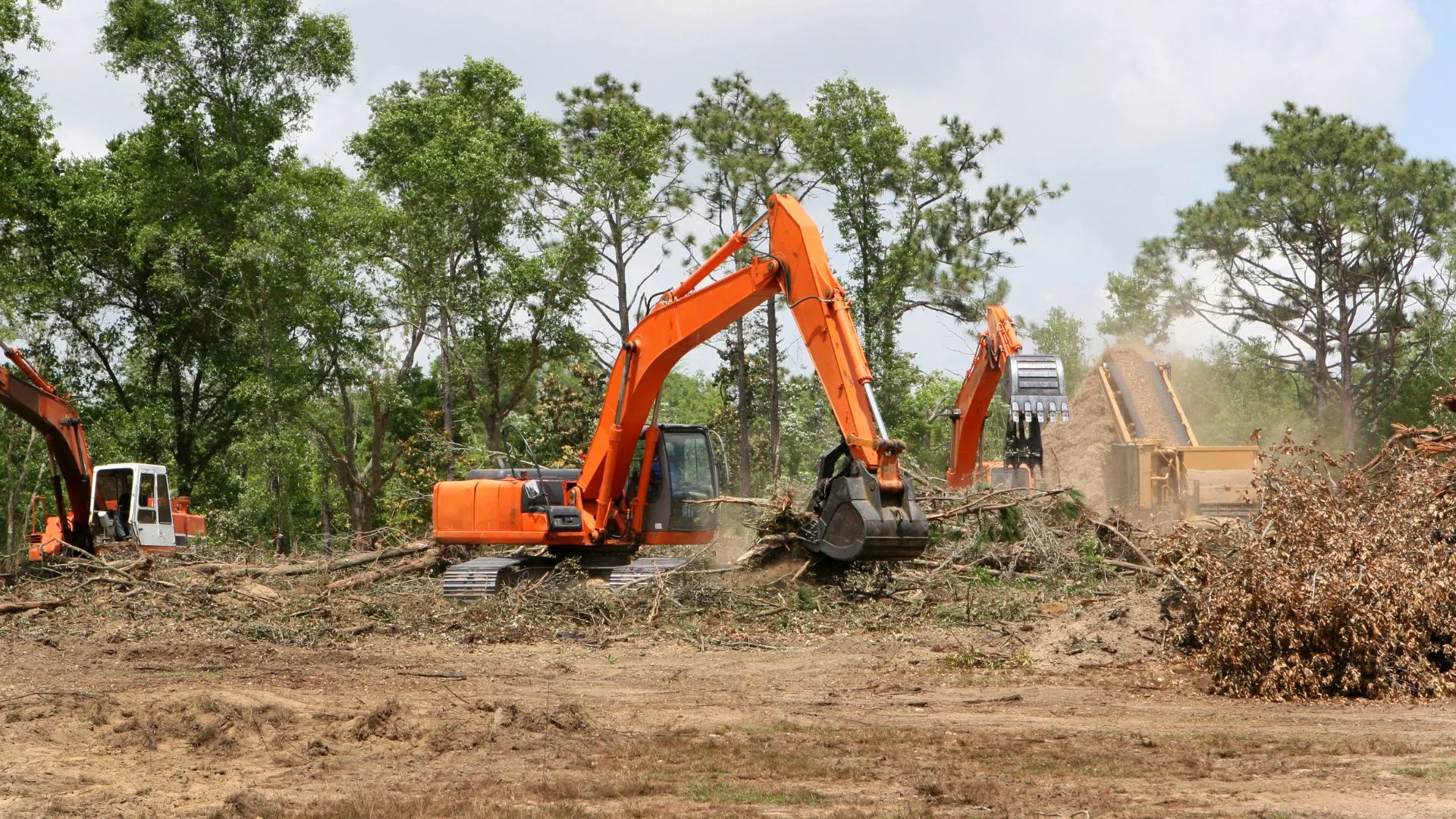 Excavator clearing brush and trees from a wooded lot